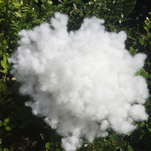 PP珍珠棉 特性、應用與市場采購指南